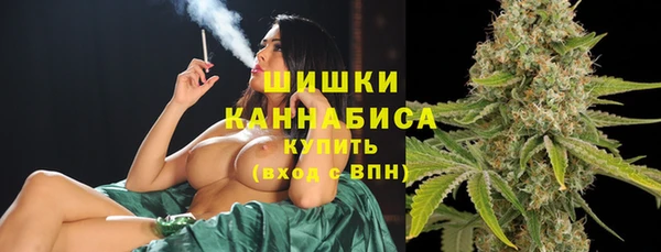 прущие крисы Вяземский