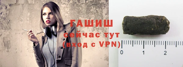 ПСИЛОЦИБИНОВЫЕ ГРИБЫ Горно-Алтайск
