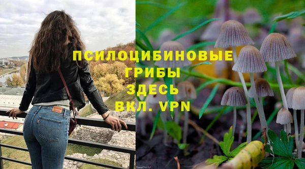 ПСИЛОЦИБИНОВЫЕ ГРИБЫ Горно-Алтайск