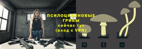 ПСИЛОЦИБИНОВЫЕ ГРИБЫ Горно-Алтайск