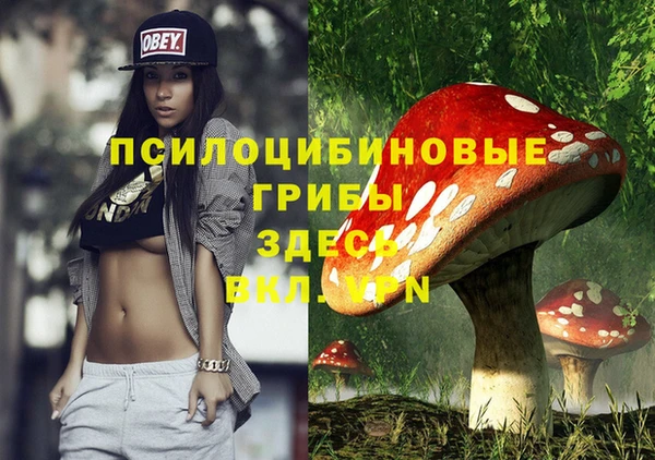 mix Горнозаводск
