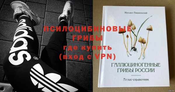 ПСИЛОЦИБИНОВЫЕ ГРИБЫ Горно-Алтайск