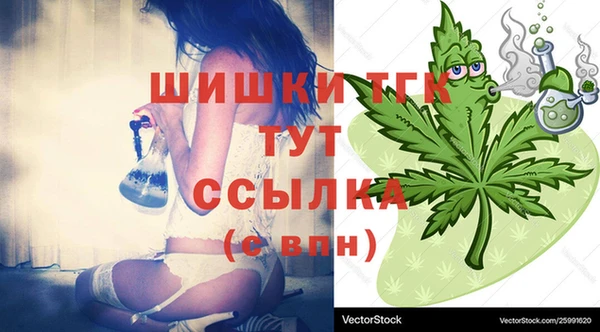 прущие крисы Вяземский