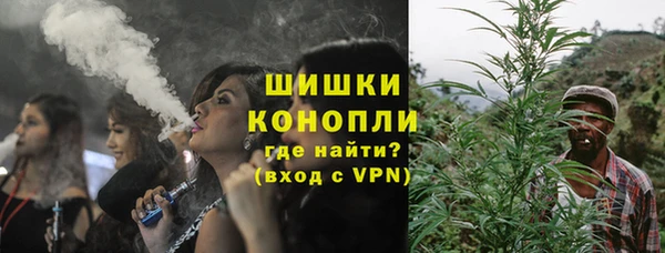 ПСИЛОЦИБИНОВЫЕ ГРИБЫ Горно-Алтайск