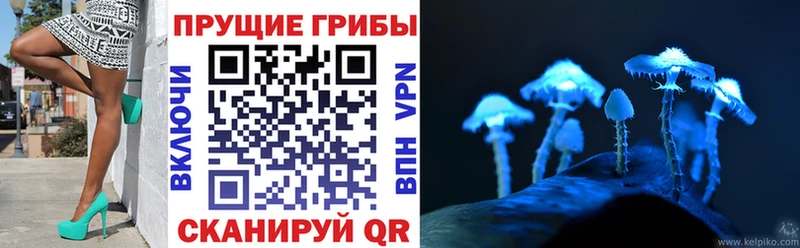 Галлюциногенные грибы мицелий  Купить где  Чекалин 